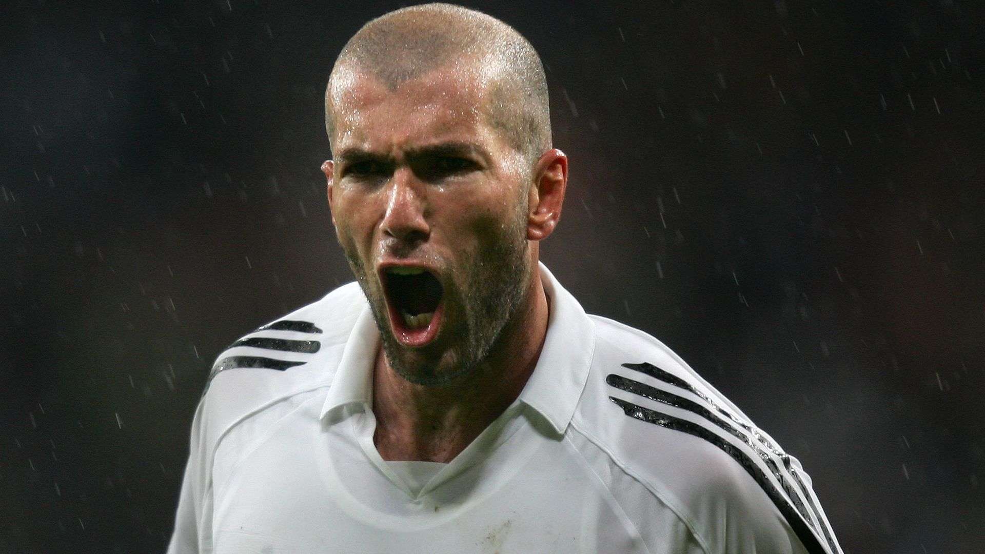 理和技术双 理和技术双