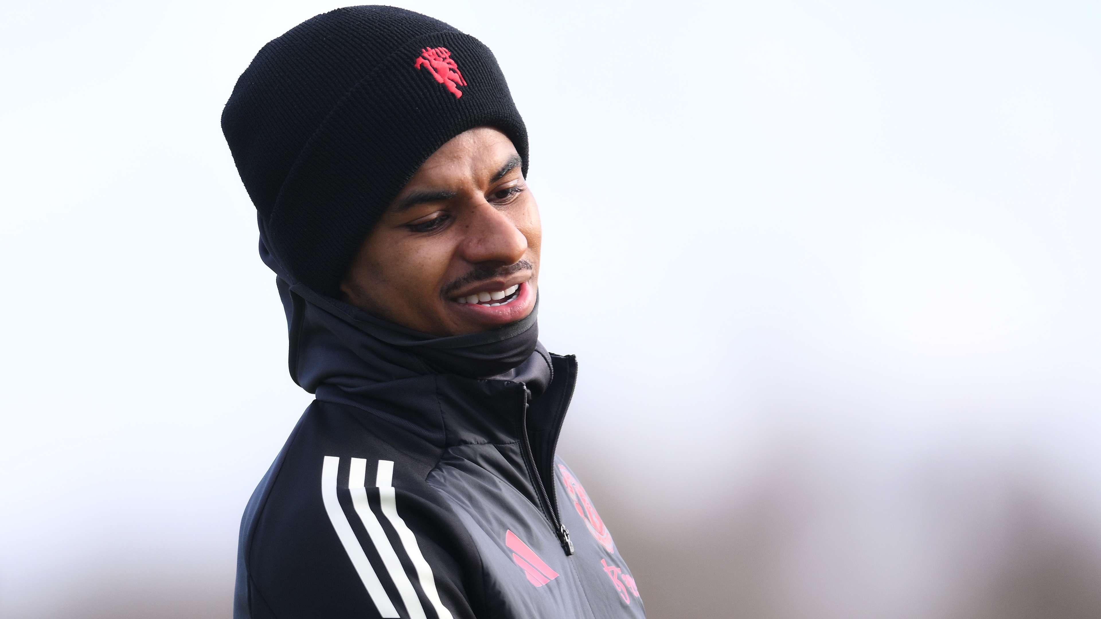 绽放着永不 绽放着永不